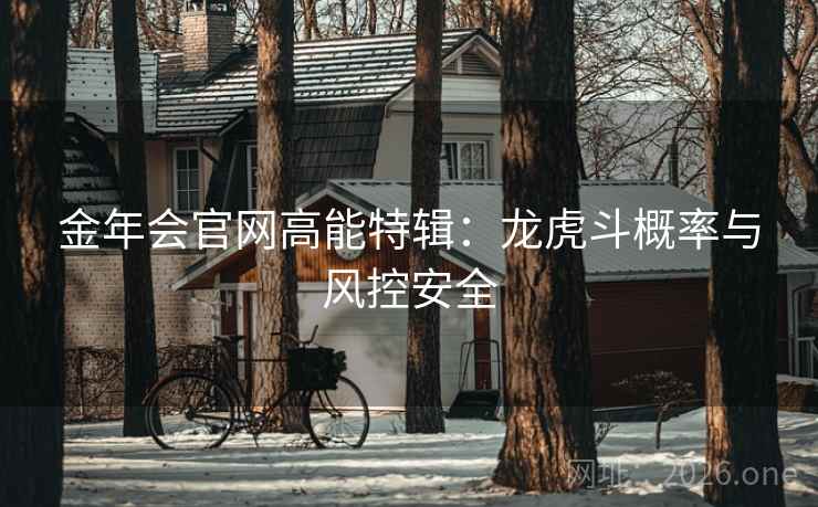 金年会官网高能特辑：龙虎斗概率与风控安全  第2张