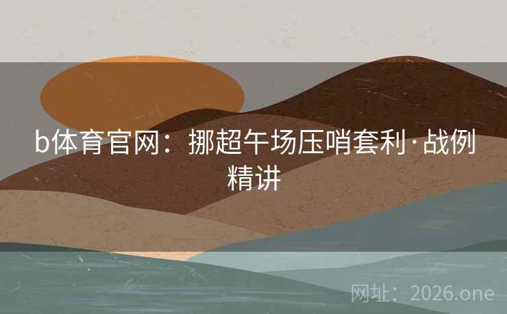 b体育官网：挪超午场压哨套利·战例精讲  第2张