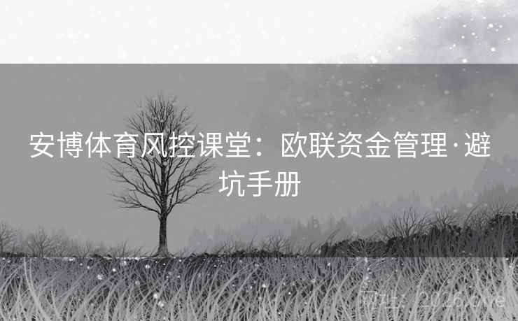安博体育风控课堂：欧联资金管理·避坑手册  第2张