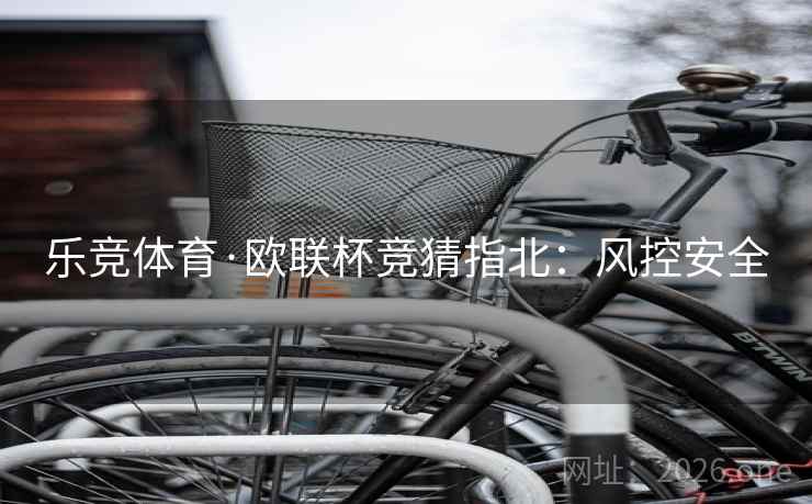 乐竞体育·欧联杯竞猜指北：风控安全  第1张