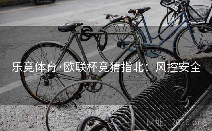 乐竞体育·欧联杯竞猜指北：风控安全  第2张