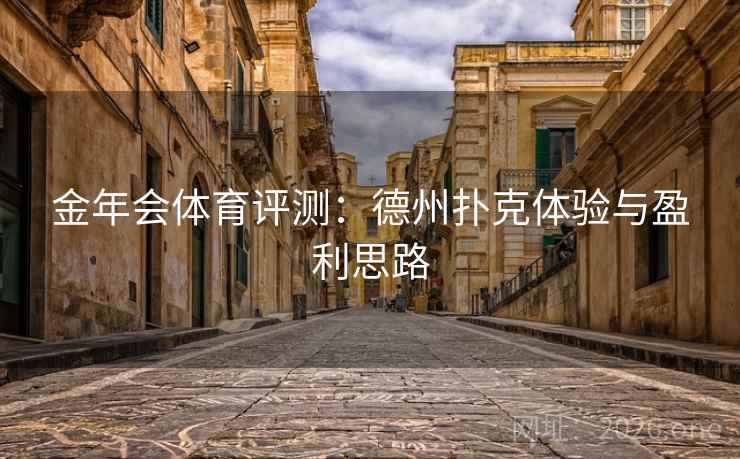 金年会体育评测：德州扑克体验与盈利思路  第2张
