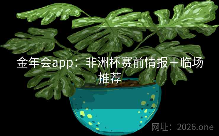 金年会app：非洲杯赛前情报＋临场推荐  第2张