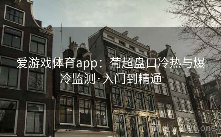 爱游戏体育app:葡超盘口冷热与爆冷监测·入门到精通  第2张 爱游戏体育app:葡超盘口冷热与爆冷监测·入门到精通  第2张