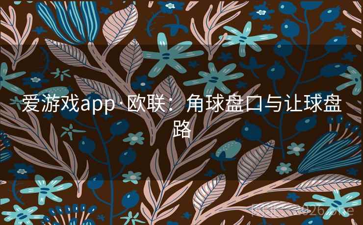 爱游戏app·欧联:角球盘口与让球盘路  第2张 爱游戏app·欧联:角球盘口与让球盘路  第2张
