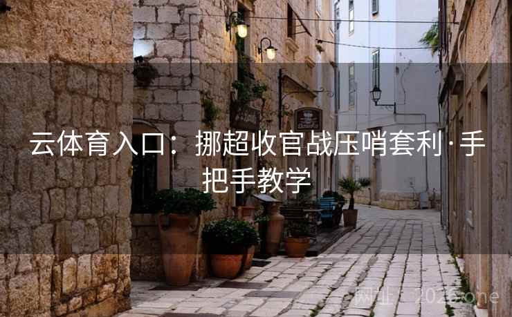 云体育入口:挪超收官战压哨套利·手把手教学  第2张 云体育入口:挪超收官战压哨套利·手把手教学  第2张