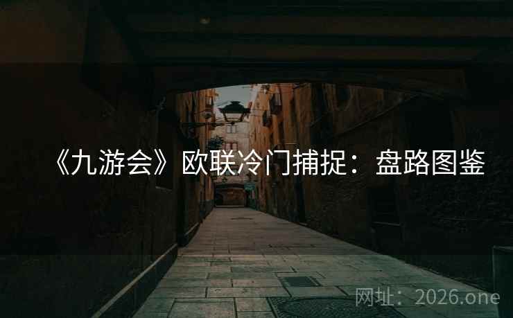 《九游会》欧联冷门捕捉:盘路图鉴  第1张 《九游会》欧联冷门捕捉:盘路图鉴  第1张