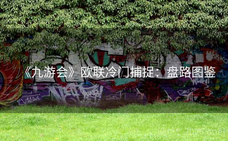 《九游会》欧联冷门捕捉:盘路图鉴  第2张 《九游会》欧联冷门捕捉:盘路图鉴  第2张